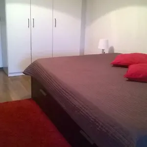 Alexander , Bucureşti România